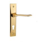 دستگیره پلاک ایران مدل 1900 رنگ طلایی