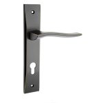 دستگیره پلاک ایران مدل 1900 رنگ مشکی