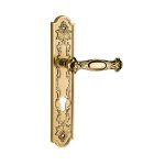 دستگیره پلاک ایران مدل 8100 رنگ طلایی