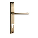 دستگیره پلاک ایران مدل 3300 رنگ زیتونی