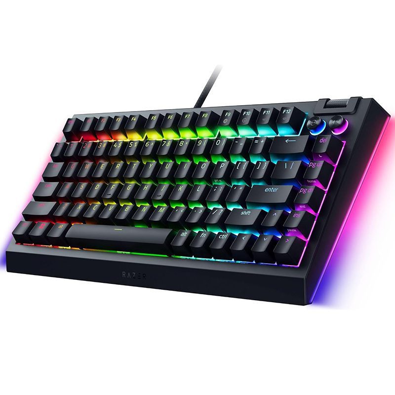 کیبورد ریزر مدل Razer RAZER BLACKWIDOW V4