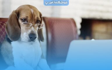 عنوان مقاله HoundDog