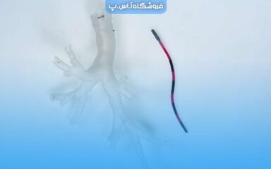 ربات‌ های جراحی کوچک