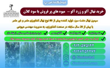 خرید نهال آلو و زردآلو - نهال هایی با میوه تابستانی پر طرفدار به ارزش طلا