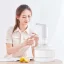 پمپ آب اتوماتیک شیائومی مدل Xiaomi Xiaolang Automatic Water Supply HD ZDCSJ07