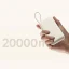 پاوربانک 33 وات شیائومی مدل PB2030MI ظرفیت 20000 میلی آمپر ساعت گلوبال