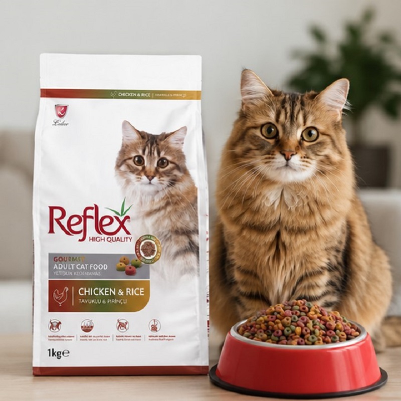 غذای خشک گربه مولتی کالر با طعم مرغ و برنج رفلکس 1 کیلوگرم Reflex Multicolor Cat Dry food