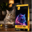 غذای خشک گربه درسا پت 10 کیلوگرم Dorsa Pet Cat Dry food