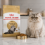 غذای خشک گربه پرشین رویال کنین 1 کیلوگرم Royal Canin Persian Adult