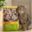 غذای خشک گربه بالغ جوسرا سنسی کت 2 کیلوگرم Josera sensicat