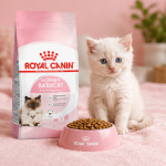 غذای خشک گربه مادر و بچه رویال کنین 1 کیلوگرم Royal Canin Mother and Baby