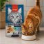 غذای خشک گربه ونپی با طعم مرغ 8 کیلوگرم Wanpy Adult Cat Dry food