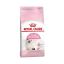 غذای خشک گربه رویال کنین کیتن 500 گرم Royal Canin Kitten