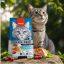 غذای خشک گربه بالغ با طعم مرغ ونپی 1.5 کیلوگرم Wanpy Adult Cat Dry food