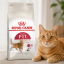 غذای خشک گربه رویال کنین فیت 2 کیلوگرم Royal Canin Fit Adult