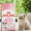 غذای خشک گربه کیتن رویال کنین 1 کیلوگرم Royal Canin kitten