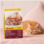غذای خشک بچه گربه جوسرا کیتن 10 کیلوگرم Josera Kitten