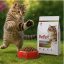 غذای خشک گربه بالغ مولتی کالر رفلکس 15 کیلوگرم Reflex Multicolor Cat Dry food