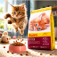 غذای خشک بچه گربه جوسرا 2 کیلوگرم Josera Kitten