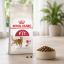 غذای خشک گربه رویال کنین فیت 2 کیلوگرم Royal Canin Fit Adult