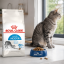 غذای خشک گربه ایندور رویال کنین 2 کیلوگرم Royal Canin Indoor