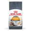 غذای خشک گربه هیر اند اسکین رویال کنین 2 کیلوگرم Royal Canin Hair and Skin Adult