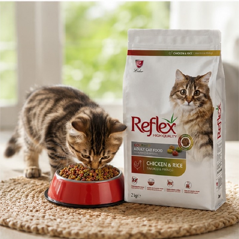 غذای خشک گربه مولتی کالر رفلکس 2 کیلوگرم Reflex Multicolor Cat Dry food