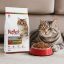 غذای خشک گربه مولتی کالر با طعم مرغ و برنج رفلکس 1 کیلوگرم Reflex Multicolor Cat Dry food