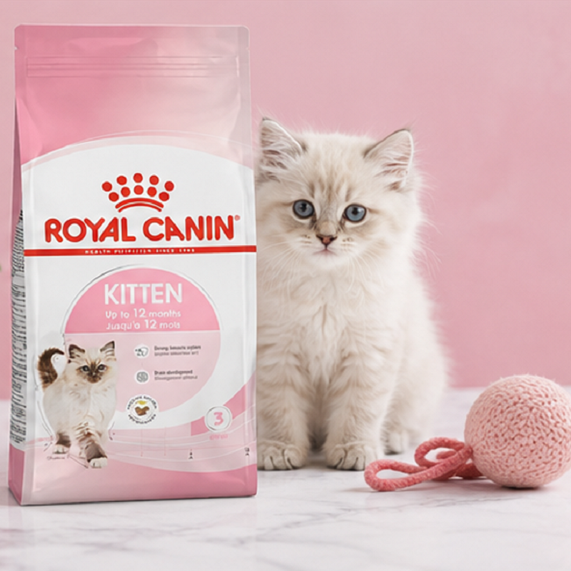 غذای خشک گربه کیتن رویال کنین 1 کیلوگرم Royal Canin kitten