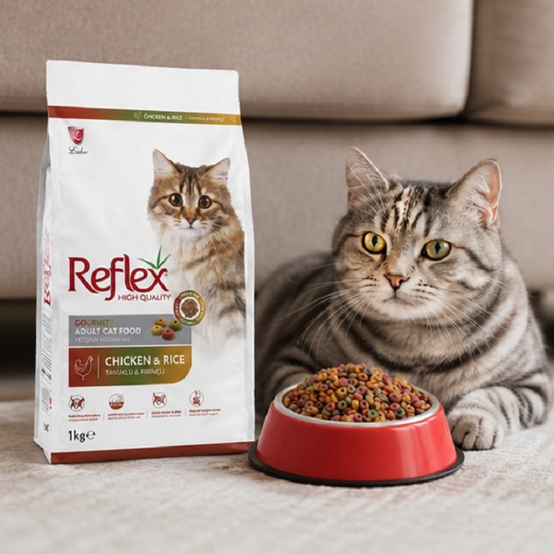 غذای خشک گربه مولتی کالر با طعم مرغ و برنج رفلکس 1 کیلوگرم Reflex Multicolor Cat Dry food