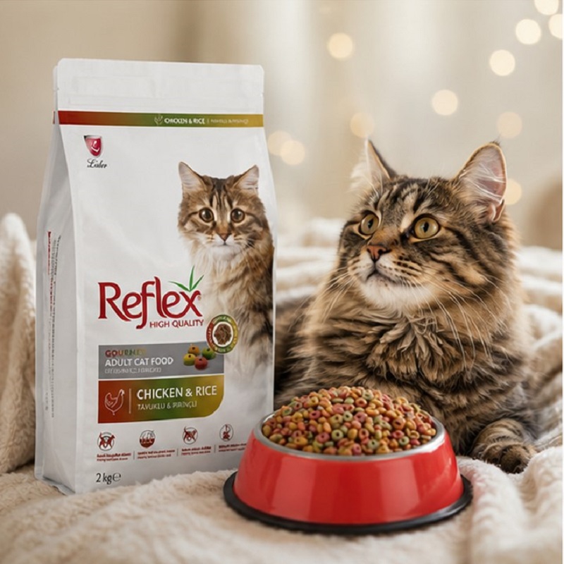 غذای خشک گربه مولتی کالر رفلکس 2 کیلوگرم Reflex Multicolor Cat Dry food