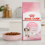 غذای خشک گربه کیتن رویال کنین 1 کیلوگرم Royal Canin kitten
