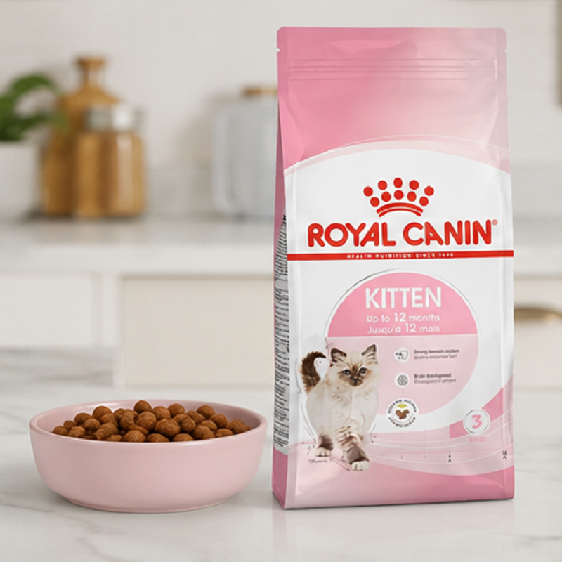 غذای خشک گربه کیتن رویال کنین 1 کیلوگرم Royal Canin kitten