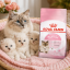 غذای خشک گربه مادر و بچه رویال کنین 2 کیلوگرم Royal Canin Mother and Baby