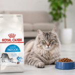 غذای خشک گربه ایندور رویال کنین 10 کیلوگرم Royal Canin Indoor