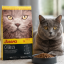 غذای خشک گربه جوسرا کتلوکس 1 کیلوگرم Josera Catelux