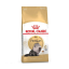 غذای خشک گربه پرشین رویال کنین 1 کیلوگرم Royal Canin Persian Adult