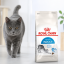 غذای خشک گربه ایندور رویال کنین 10 کیلوگرم Royal Canin Indoor