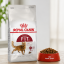 غذای خشک گربه فیت رویال کنین 1 کیلوگرم Royal Canin Fit Adult