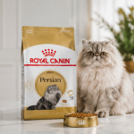 غذای خشک گربه پرشین رویال کنین 1 کیلوگرم Royal Canin Persian Adult
