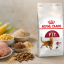 غذای خشک گربه فیت رویال کنین 1 کیلوگرم Royal Canin Fit Adult