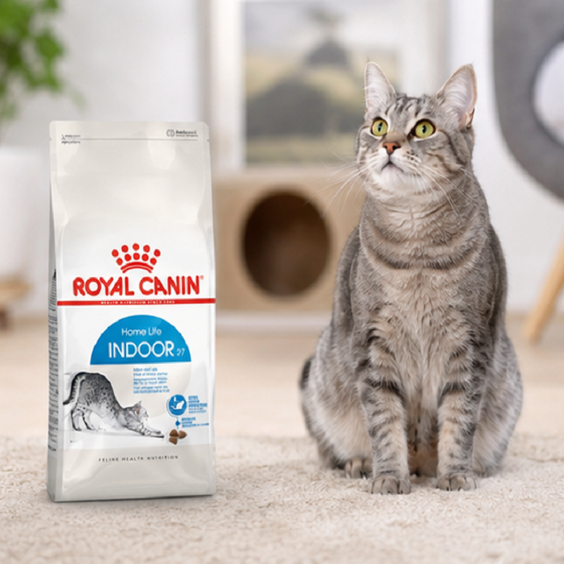 غذای خشک گربه ایندور رویال کنین 10 کیلوگرم Royal Canin Indoor