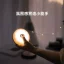 چراغ و ریسه کمپینگ شارژی شیائومی مدل NEXTOOL Galaxy Camping Lamp NE20233