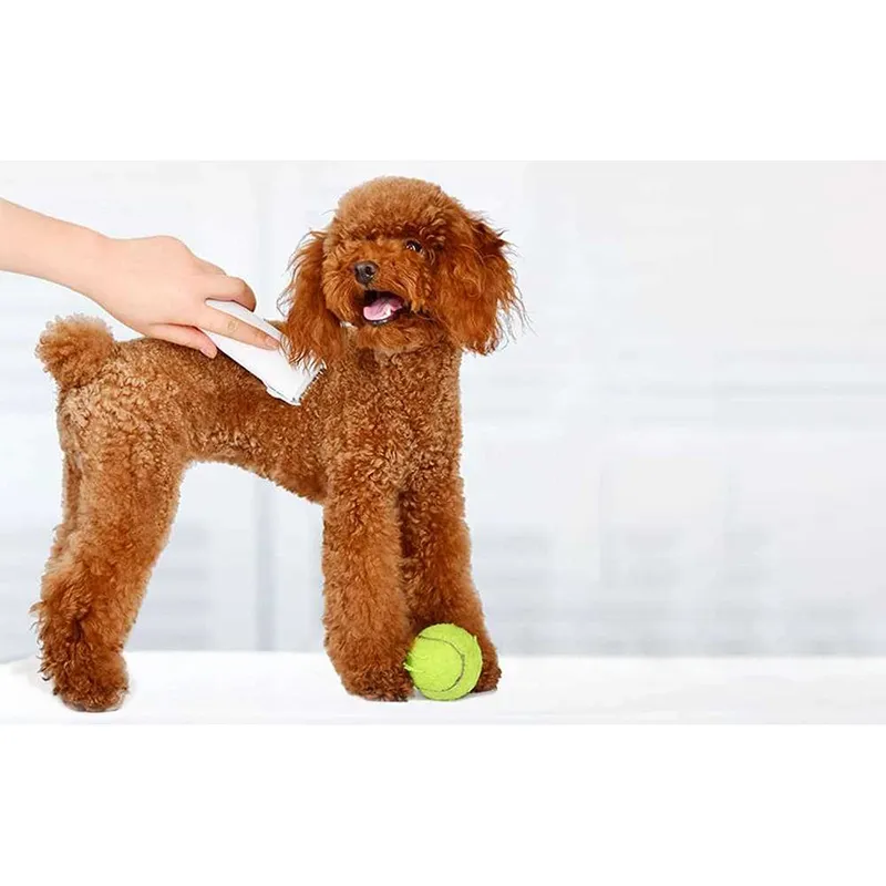 ماشین اصلاح موی حیوانات خانگی شیائومی مدل Xiaomi Pawbby Pet Hair Clippers MG-HC001A