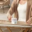 اتو بخار شیائومی مدل Mijia B502CN