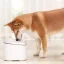 آبخوری هوشمند حیوانات شیائومی Xiaomi smart pet fountain XWWF01MG