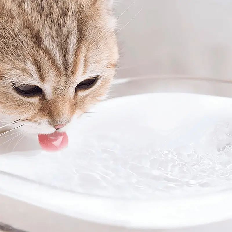 آبخوری هوشمند حیوانات شیائومی Xiaomi smart pet fountain XWWF01MG