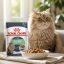 غذای پوچ گربه رویال کنین دایجستیو 85گرم RoyalCanin Digestive