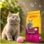 غذای خشک گربه بالغ ونپی عقیم 18 کیلوگرم Wanpy Sterilised