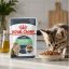 غذای پوچ گربه رویال کنین دایجستیو 85گرم RoyalCanin Digestive